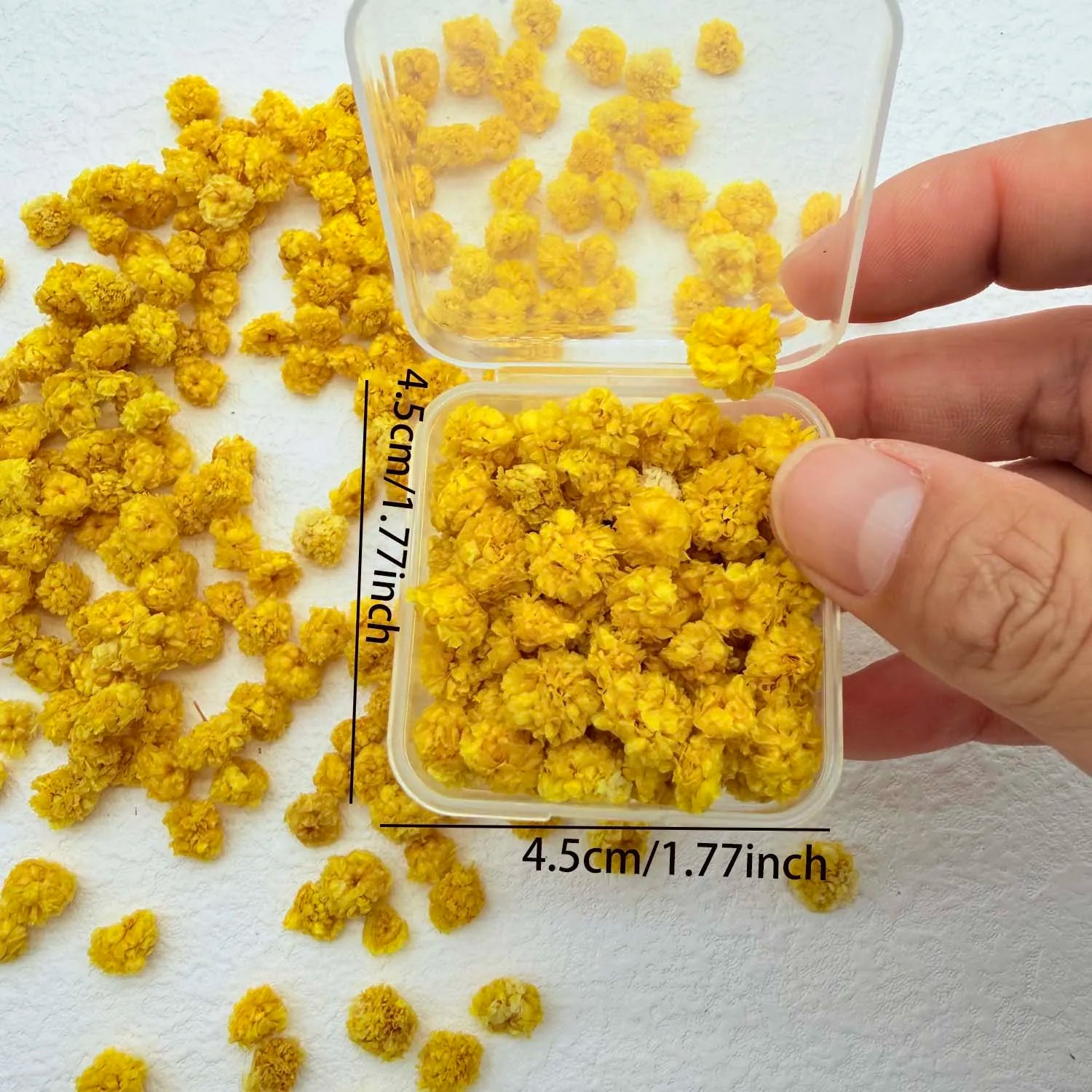 Colorful Daisy Flower Heads – DIY Resin, Candle & Jewelry Filler Craft Flower Filler Zpaxo yellow S