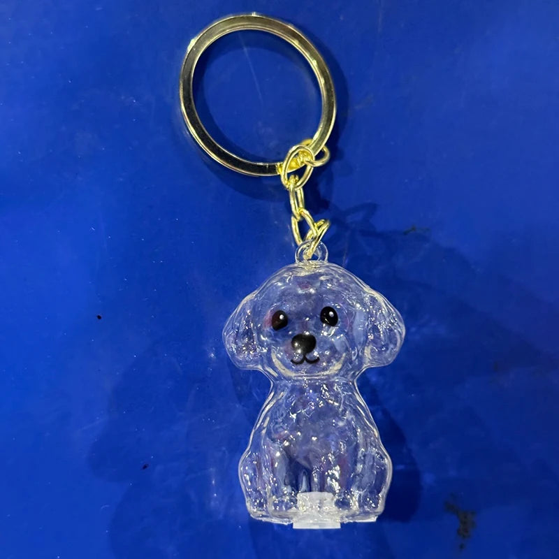 Dog Hair Storage Pendant Keychain Transparent Cat Fur Keepsake