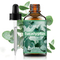 EUCALYPTUS Essential Oil Has Deep Nourishing Moisturizing Effects Zpaxo EUCALYPTUS 60ml