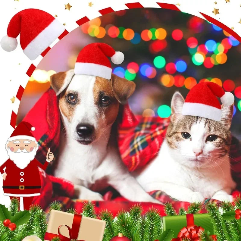 Frienda Dog Santa Hat Christmas Soft Plush Cat Pet Costumes Small