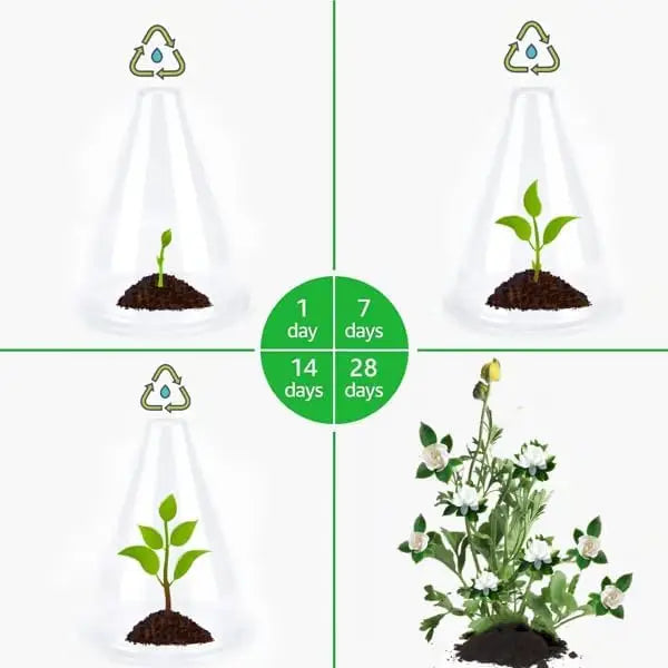Reusable Plant Cloche Mini Greenhouse Cover 12/24 Pack