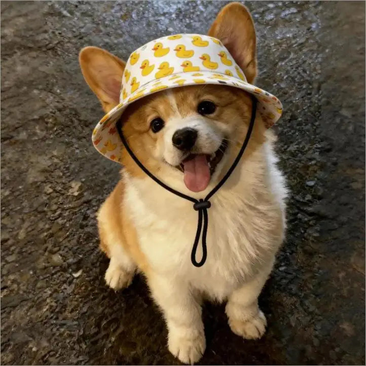Dog Sun Hat Adjustable Dog Hat Cute Print Caps Pet Sun UV Protection Hat for Walking Outdoor Activities hats for Dogs Cats Zpaxo