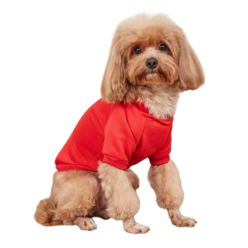 Winter Teddy Dog Clothes Sport Hoodies Sweatshirts Warm Coat Clothing