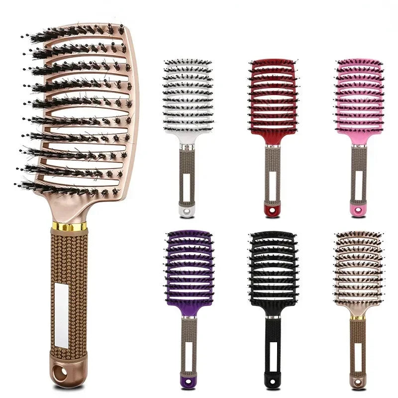 Hairbrush Bristle Nylon Women Wet Curly Detangle Hair Brush Hair Brushes Scalp Massage Comb for Salon Hairdressing Styling Tools Zpaxo