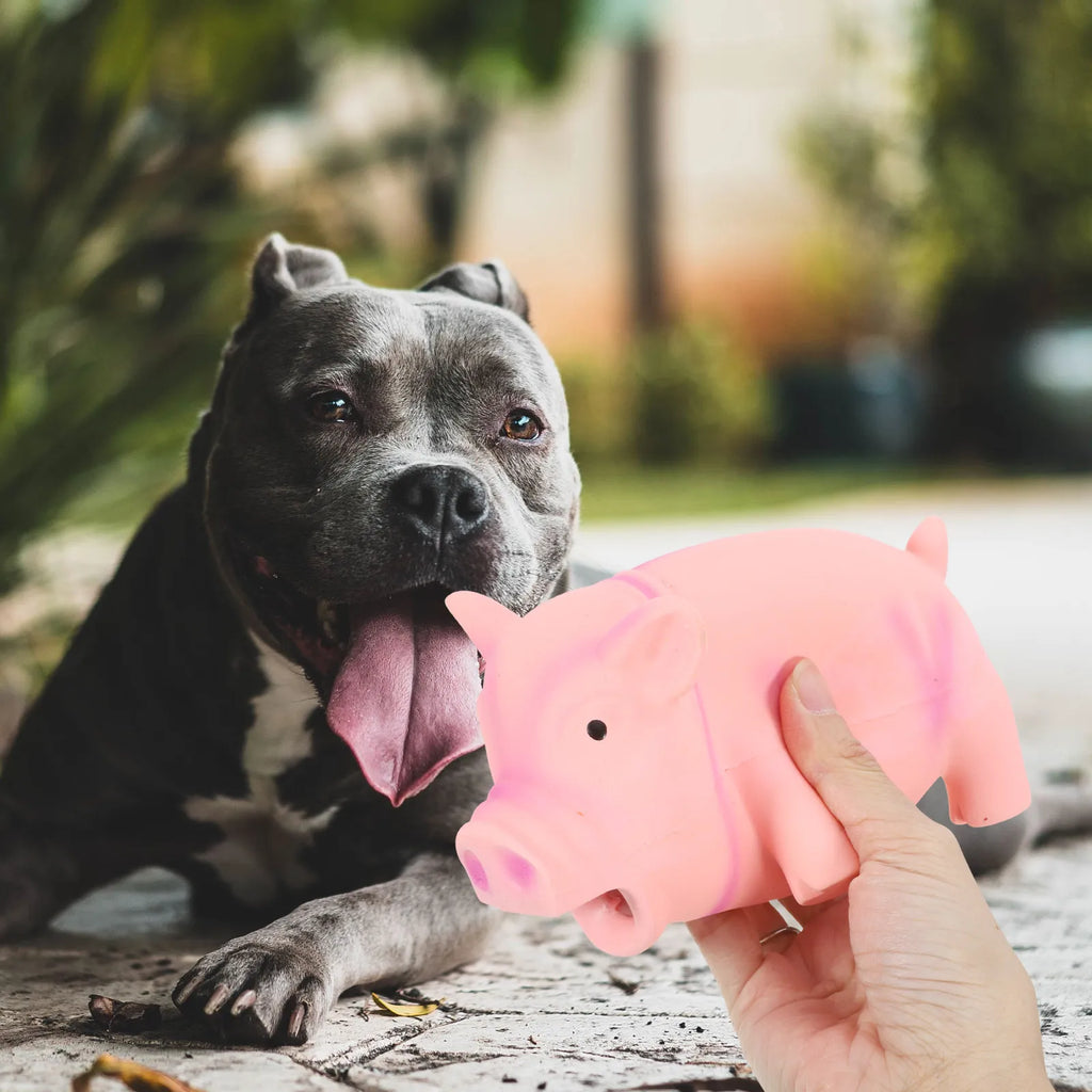 Pig Shape Dog Bite Resistant Latex Chew Squeaky Training Interactive