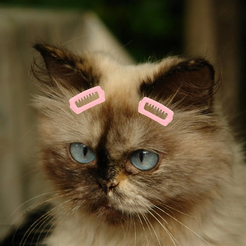 Dog Hair Clips Pet Decorative Barrettes Small Dogs Puppies Cats