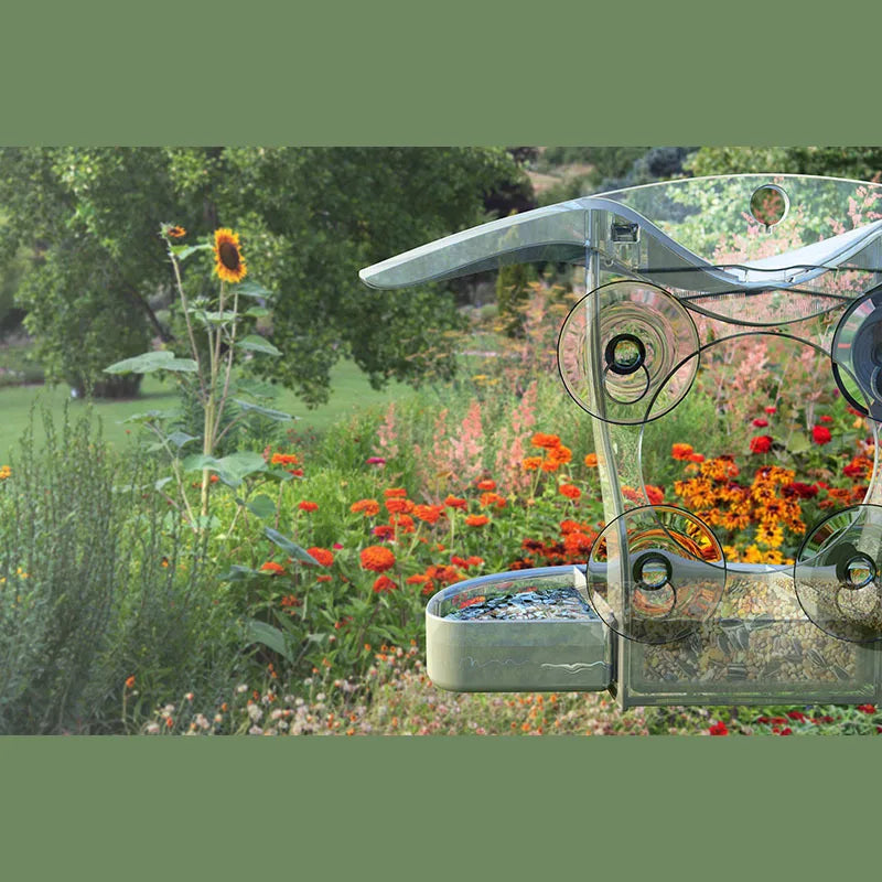 Window Bird Feeders Strong Suction Cups Outdoors Cup Feeder Wild