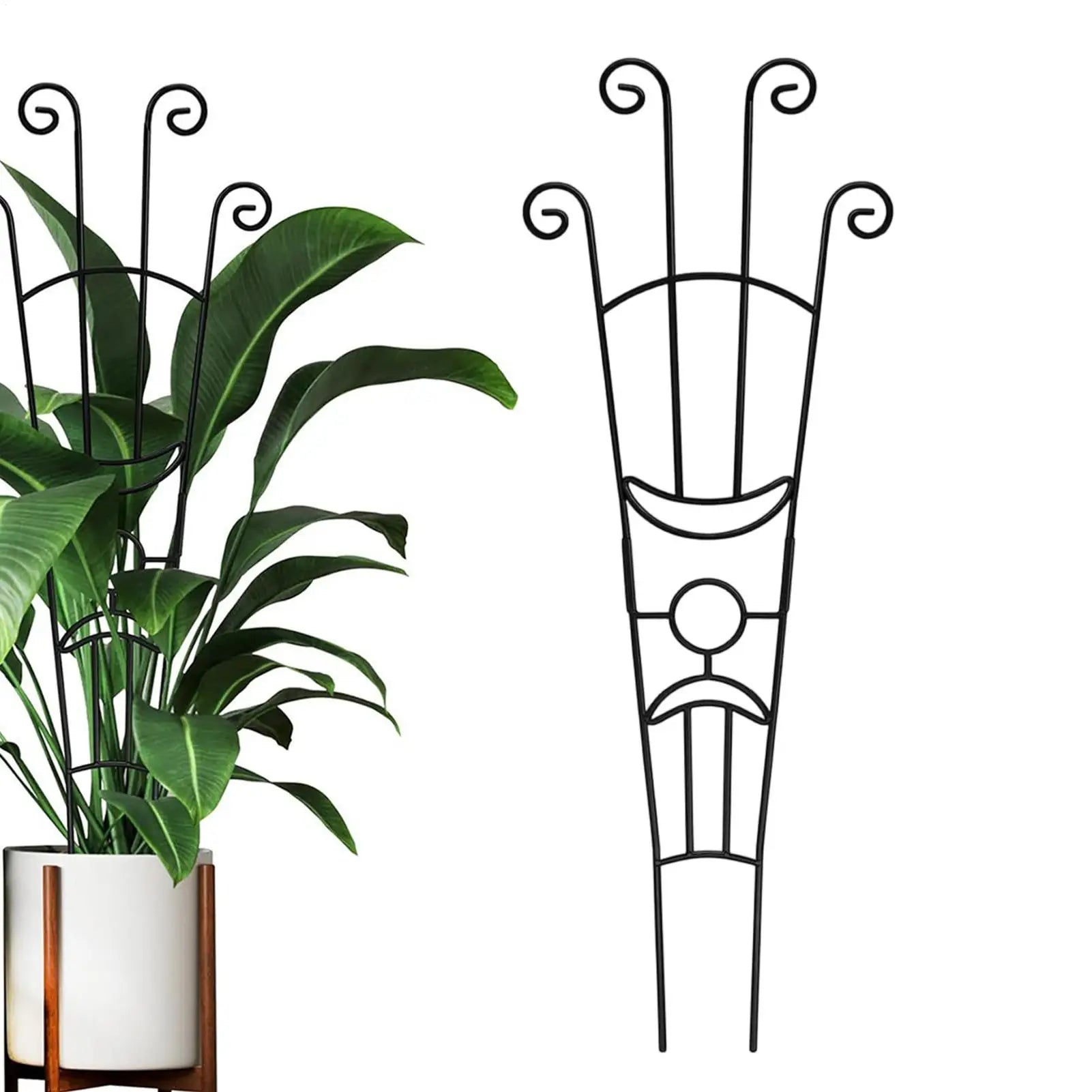 Plant Trellis Metal Plant Support Pothos Support Stakes for Indoor Outdoor Garden Balcony Pothos Monstera Ivy Clematis Gardening Zpaxo