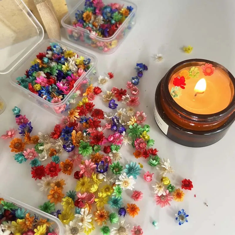 1 BOX Tiny Mini Dried Flowers Colorful Small Dried Gypsophila Flowers for Candle, Soap, Resin, Craft Makings Zpaxo