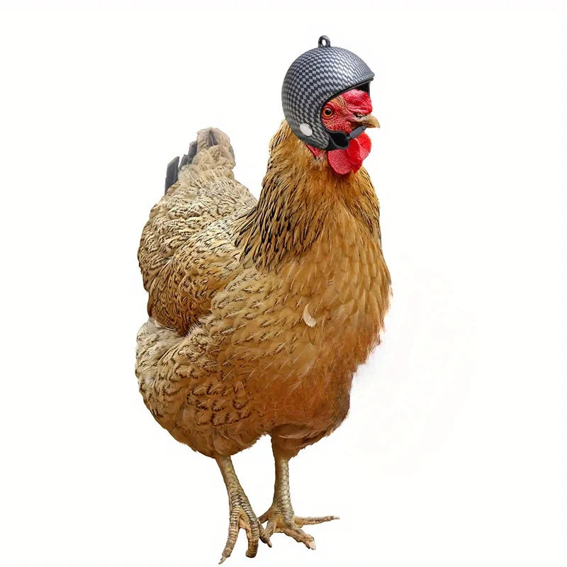 Helmet Chicken Pet Supplies Protection Chicken Hat Hamster Funny Headband Bird Toy Animal Headgear Zpaxo