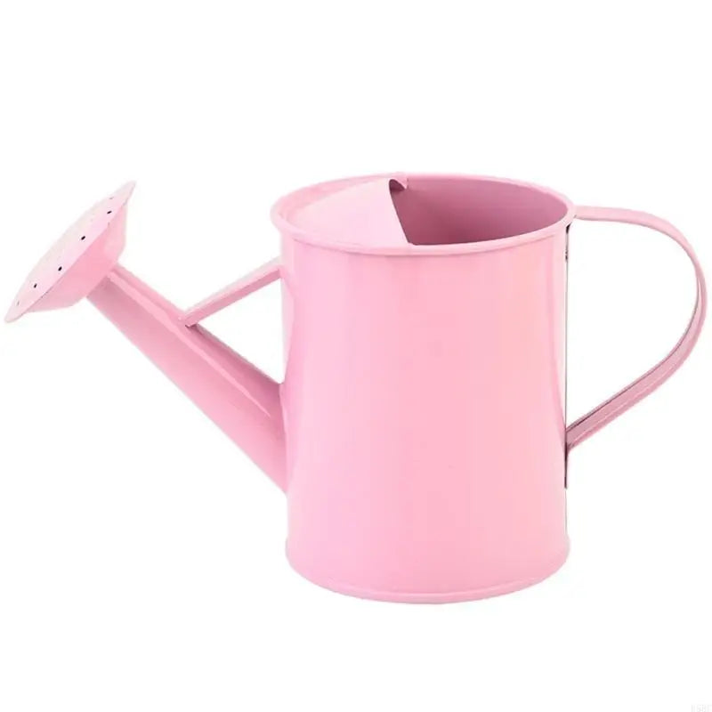 Iron Watering Can Easy Grip Handle Design Precise Indoor Outdoor