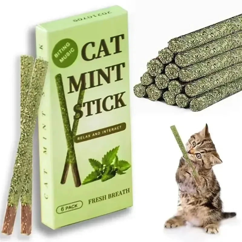Natural Silvervine Catnip Chew Sticks – Cat Dental Toy 6-Pack
