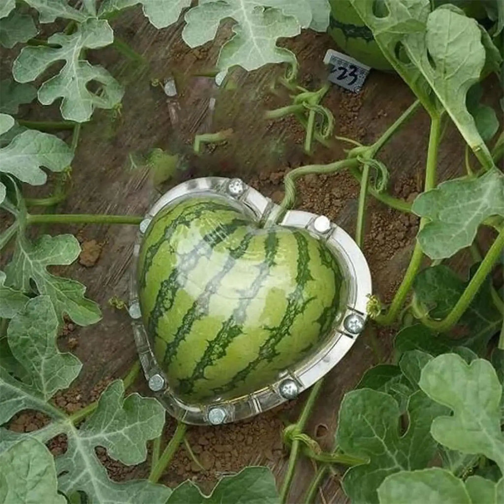 Watermelon Mold Reusable Gardening Supplies Vegetable Pumpkin Shaping