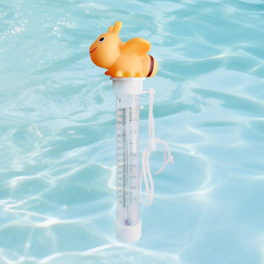 Floating Pool Gauge Cartoon Temperature Double Scale Display Temp Zpaxo