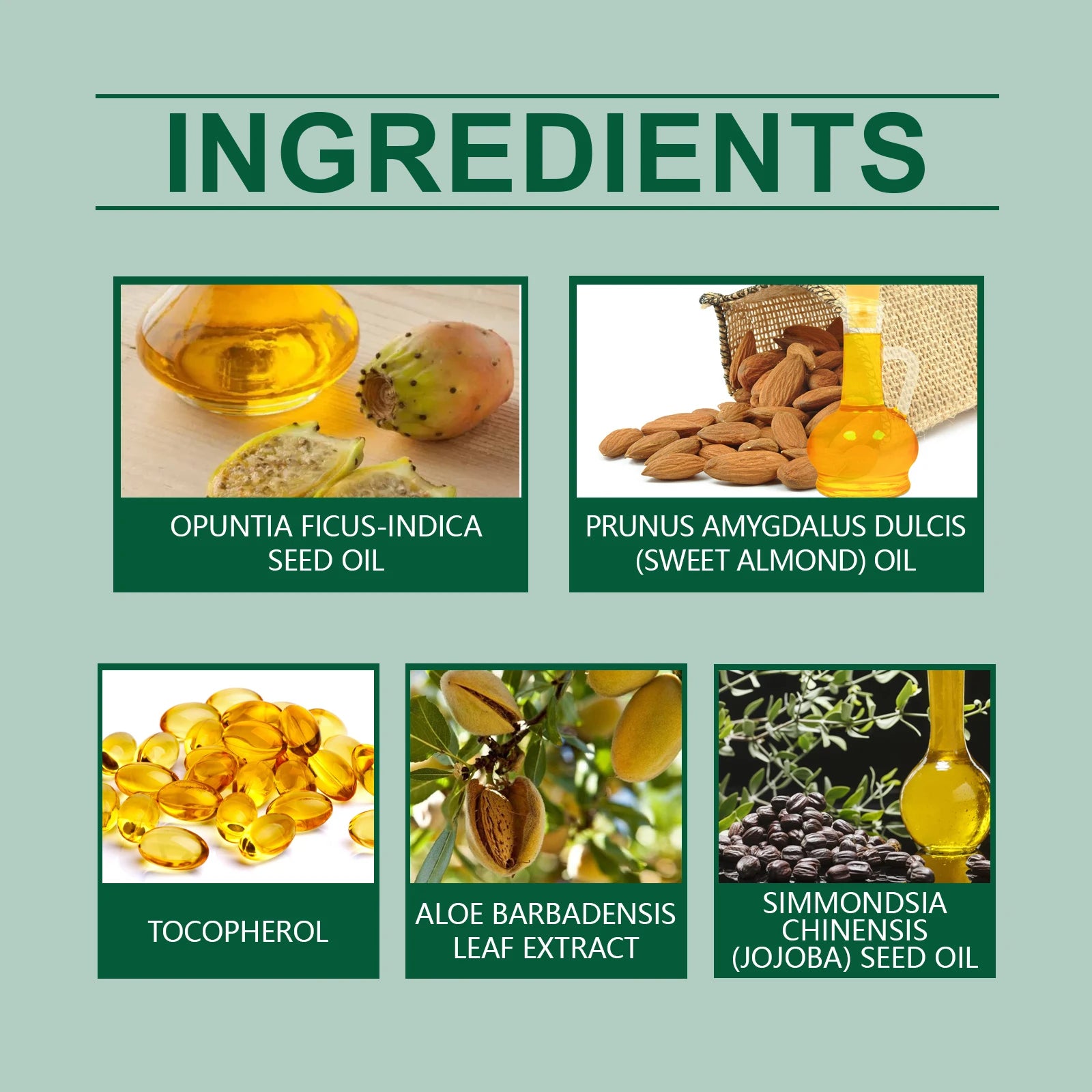 2 in 1 Cactus Seed Oil Face Body Hair Natural Plant Based Moisturizing Massage Argan Almond Anti Pollution Nourishing Treatment Zpaxo