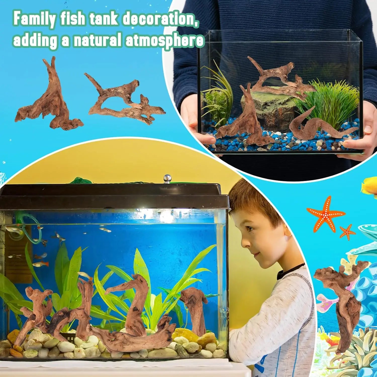 3/6PCS Natural Small Driftwood for Aquarium Decor Fish Tank Decorations Decor Assorted Driftwood Branch Reptile Tank Wood Decor Zpaxo