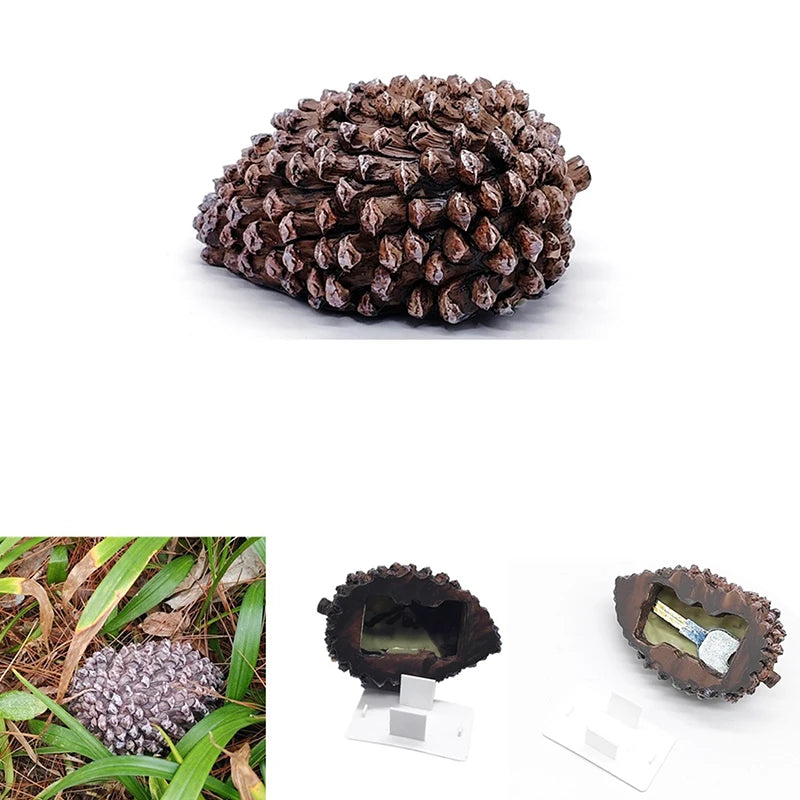 Outdoor Pinecone Spare Garden Key Box Rock Hidden Hide Stone Security