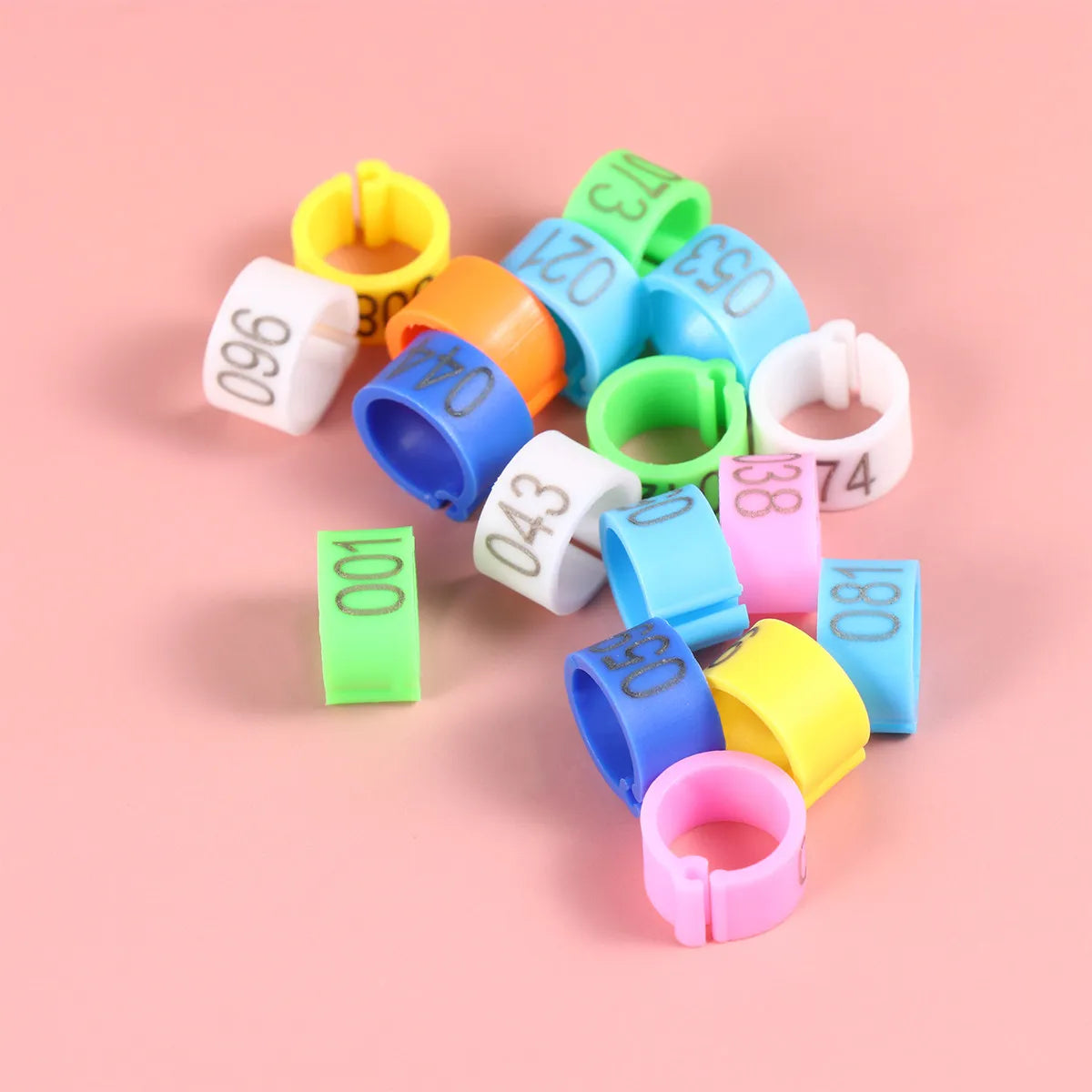 Digital Bird Identification Plastic Opening Foot Rings Bright Numbers