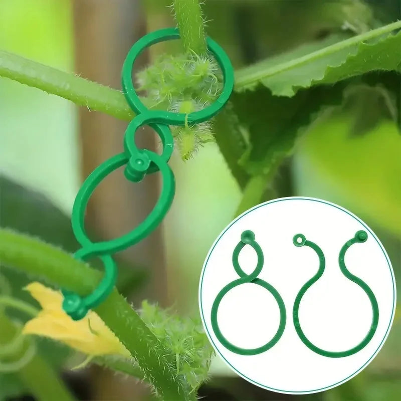 Gardening 8-figure clip garden green plant tomato vine binding plastic clip garden plant 8-figure buckle fastening buckle Zpaxo
