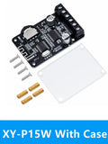10W 15W 20W Bluetooth 5 0 Stereo Digital Amplifier Board 12V 24V Zpaxo XY-P15W With Case