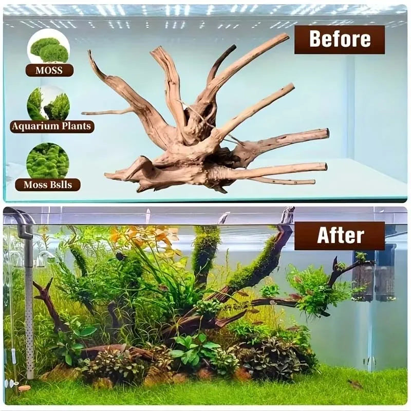 Set of 4 Large Natural Roots for Aquarium Decor - Authentic Wooden Fish Tank Ornaments & Habitats-Coral Wood Additions for Fish Zpaxo