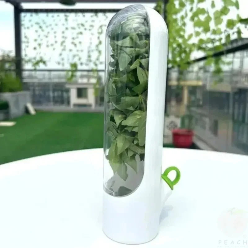 Eco-Friendly Vegetable Fresh-Keeping Box | Dust-Proof Storage Food Storage Container Zpaxo