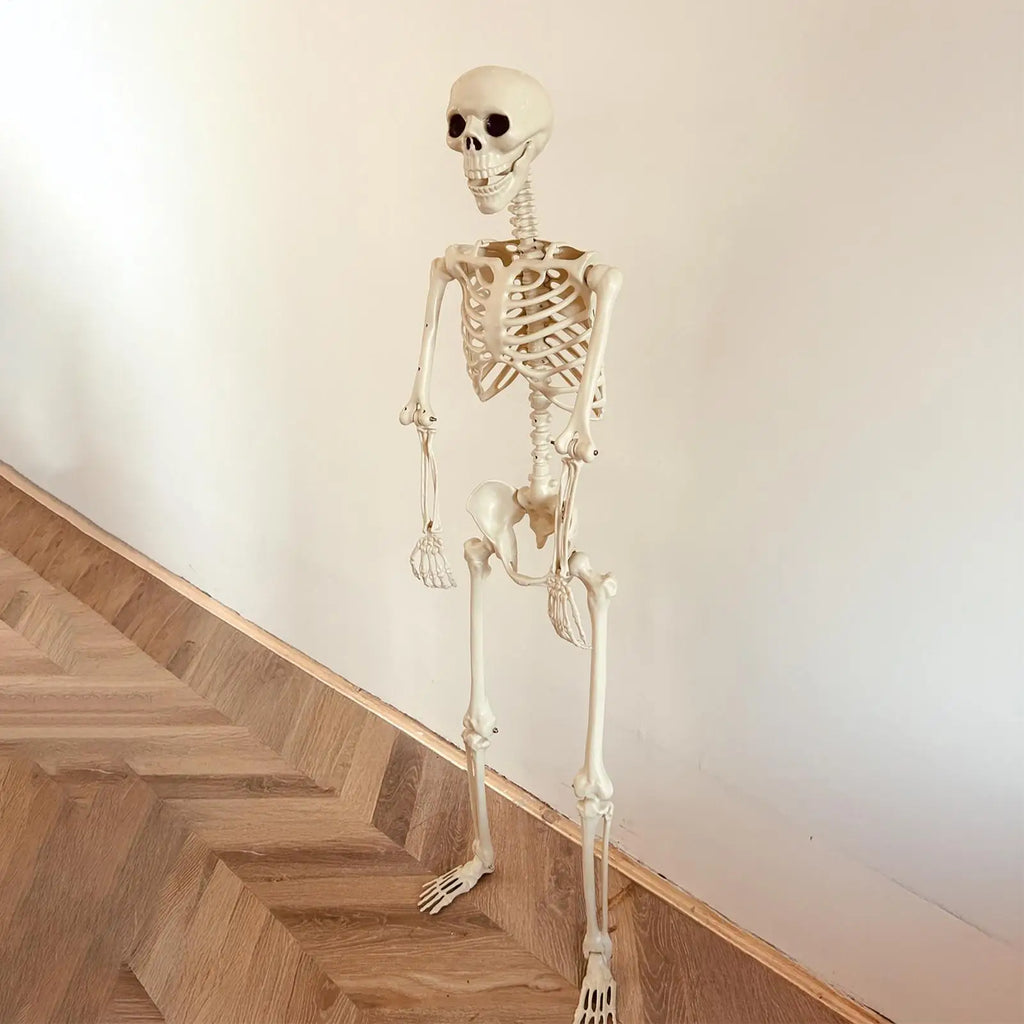 Halloween Realistic Body Bones Life Human Skeleton Posable Joints
