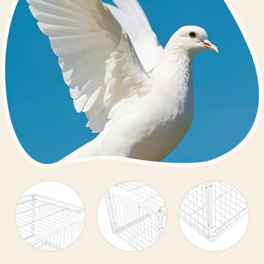 Stable Escapeproof Pigeon Coop Trap Cage Outdoor Bird Breeding Animal Zpaxo