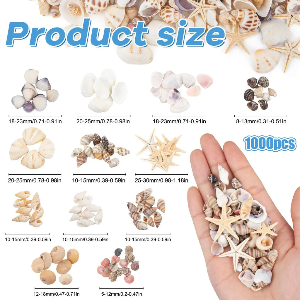 Tiny Shells DIY Crafts Making Starfish Mixed Hobbyists Beginners