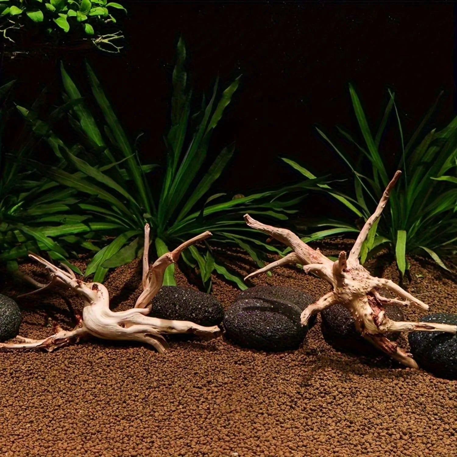 3PCS 10-15CM Driftwood Cuckoo Roots Dead-wood Tree Trunk Landscape Creative Reptile Cylinder Fish Tank Ornament Aquarium Decor Zpaxo