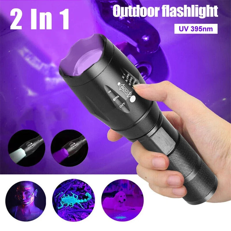395nm UV & White Dual-Light Zoomable Flashlight | Pet Stain Torch