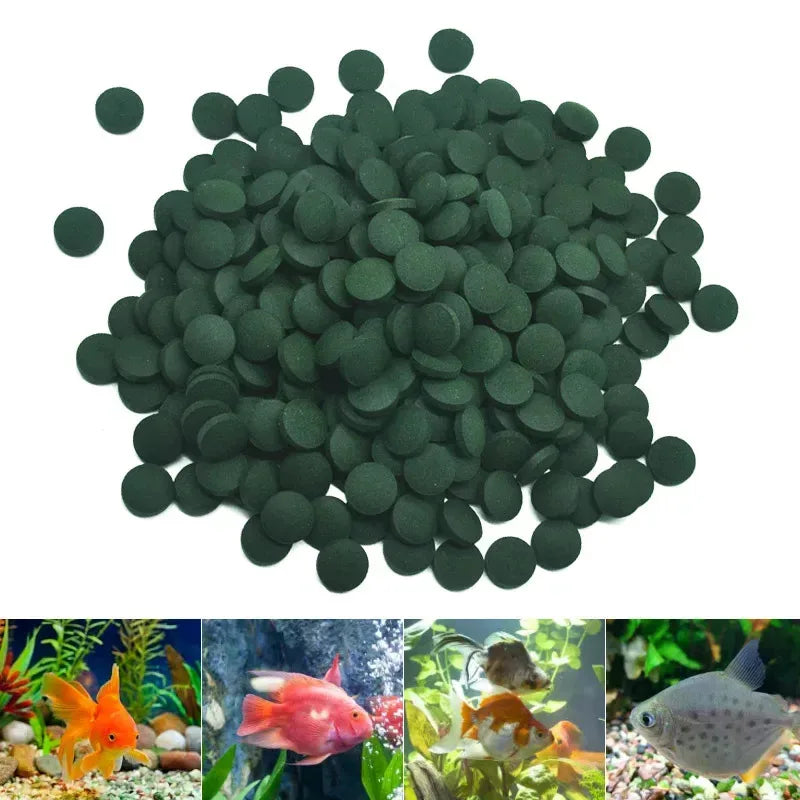 Spirulina Tablets for Aquarium Fish & Shrimp – 100–500pc