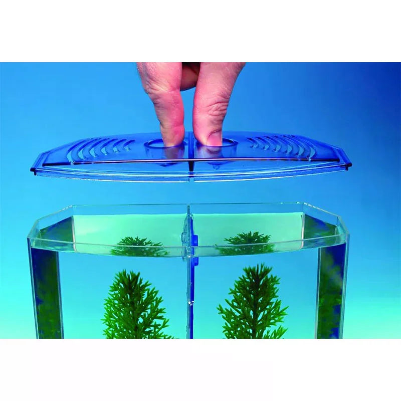Eco Rumble Fish Aquarium Mini Aquarium Plastic Isolation Box Large Double Compartment Fighting Fish Box Breeding Box Zpaxo