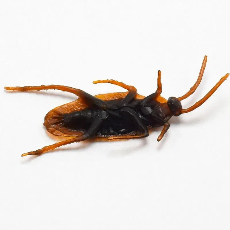 Realistic Cockroach Model Novelty Prop Toy Pranking April Fools' Day