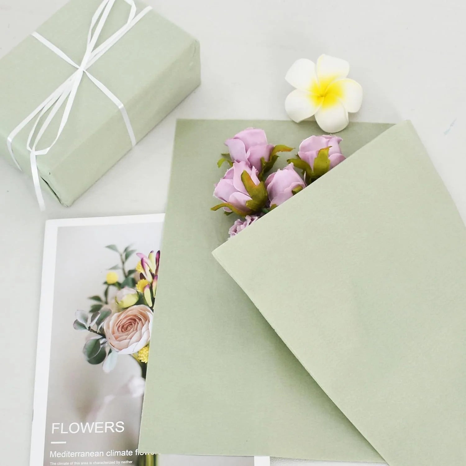 50-Sheet Sage Green Tissue Paper for Gift Wrapping & Bouquets