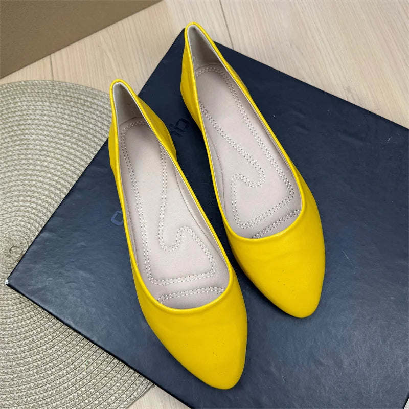 Flat Shoes for Women Spring and Autumn 2025 New Shallow Mouth Pointed Toe Boat Shoes Plus Size Women's Shoes Zapatos De Mujer Zpaxo 11 33