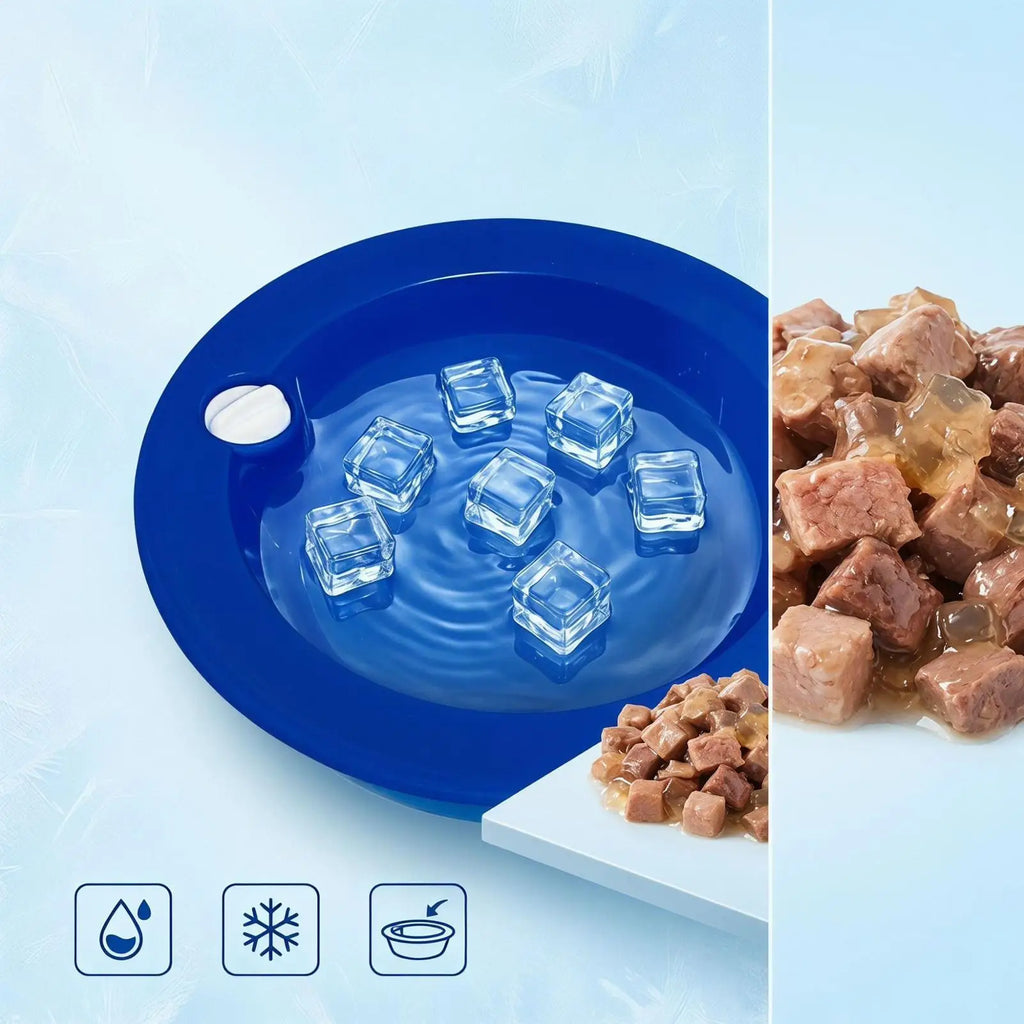 Pet Cooling Bowl Ice Chilled Dog Water Hydration Feeder Small Medium