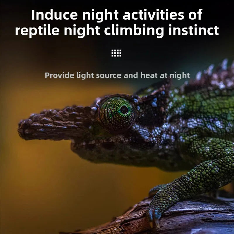 Reptile Moonlight Night Lamp – Chameleon & Lizard Heat Bulb