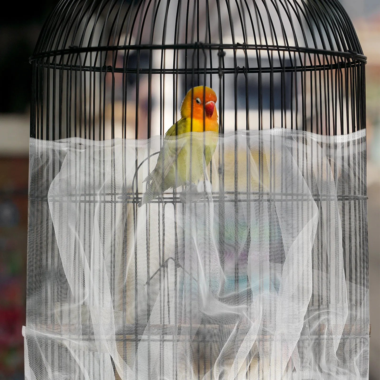 Bird Cage Net Cover Dust Proof Mesh Screen Seed Catcher Protective
