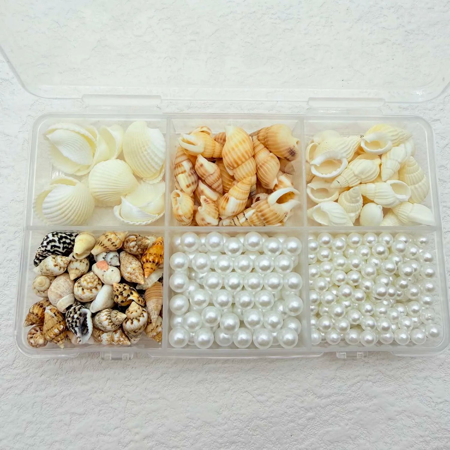 Natural Mixed Sea Shells & Pearl Charms – DIY Craft & Decor Shell Craft Charms Zpaxo