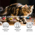 Cat Taurine Powder – Heart, Vision & Coat Support | 200g Cat Health Supplement Zpaxo Default Title