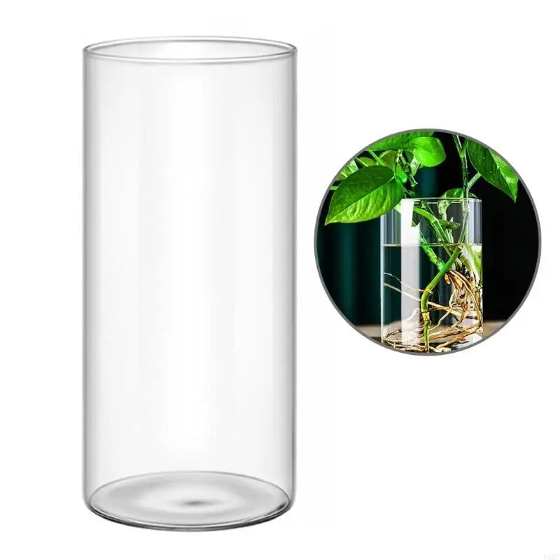 Handcrafts Glass Vase Glass Cylinder Vase Glass Holder Beautiful Pattern for Florals Arrangements and Gifting Zpaxo