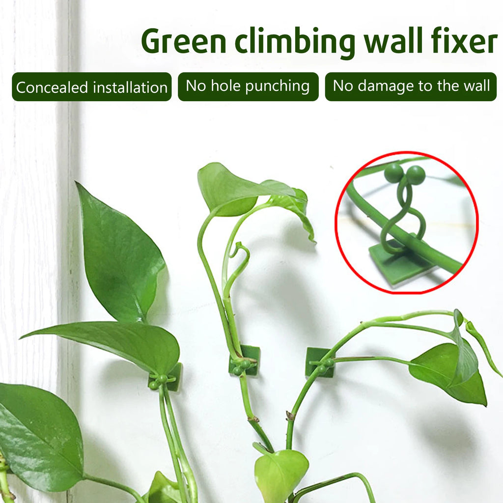 Plant Climbing Wall Fixture Clips Vine Traction Invisible Vines Zpaxo