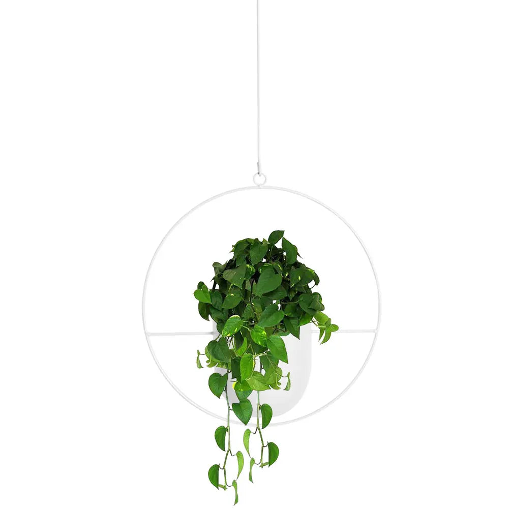 Metal Plant Holders Pots Round Oval Shape Minimalist Planter 2 Wall