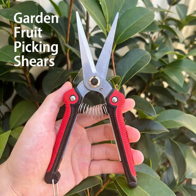 Fruit tree scissors, stainless steel pointed pruning shears, pruning shears, fruit and vegetable pruning shears, flower cutting Zpaxo