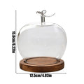 Glass Dome Fruit Shape Desktop Decoration Preserved Flower Glass Cloche for Collectors Home Office Retail Store Wedding Jewelry Zpaxo B China Mainland