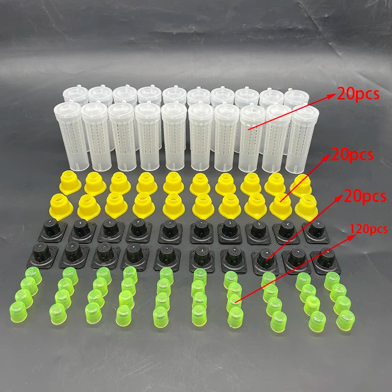 Bees Tools Cages King Queen Rearing Cupkit System Bee Beekeeping