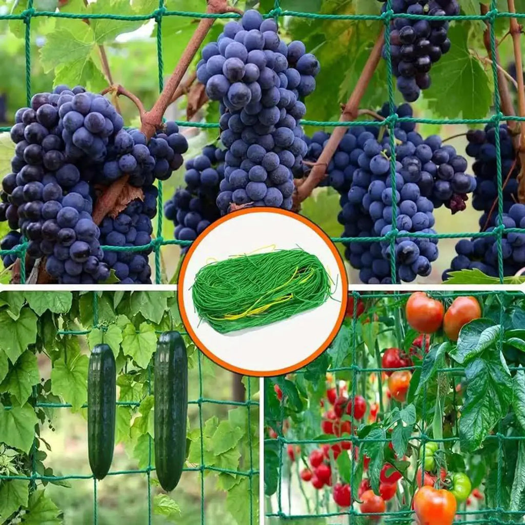 Climbing Plant Trellis Netting 2x5m Climbing Support Gardening Netting Mesh Plant Growing Trellis For Cucumber Tomato Eggplants Zpaxo