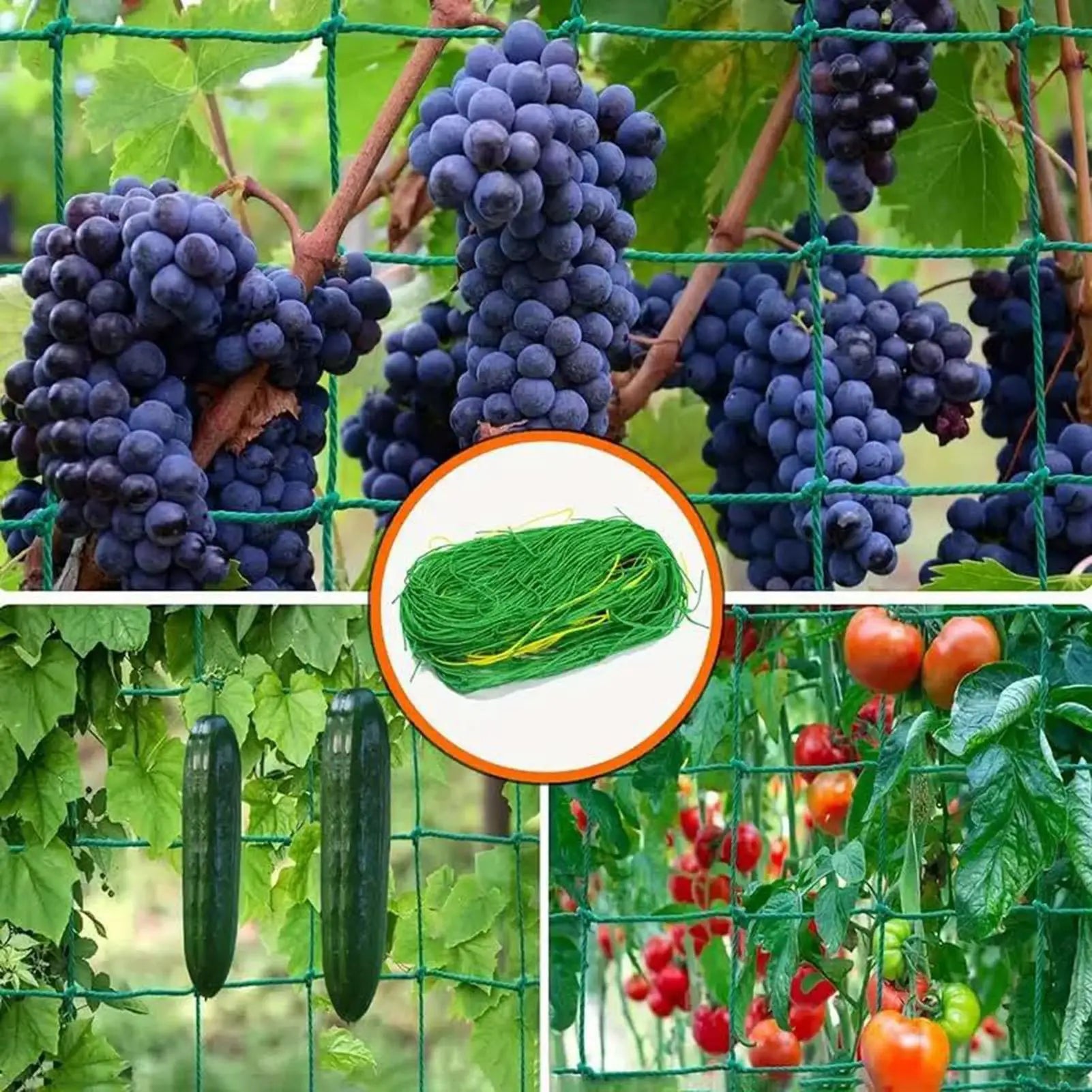 Climbing Plant Trellis Netting 2x5m Climbing Support Gardening Netting Mesh Plant Growing Trellis For Cucumber Tomato Eggplants Zpaxo