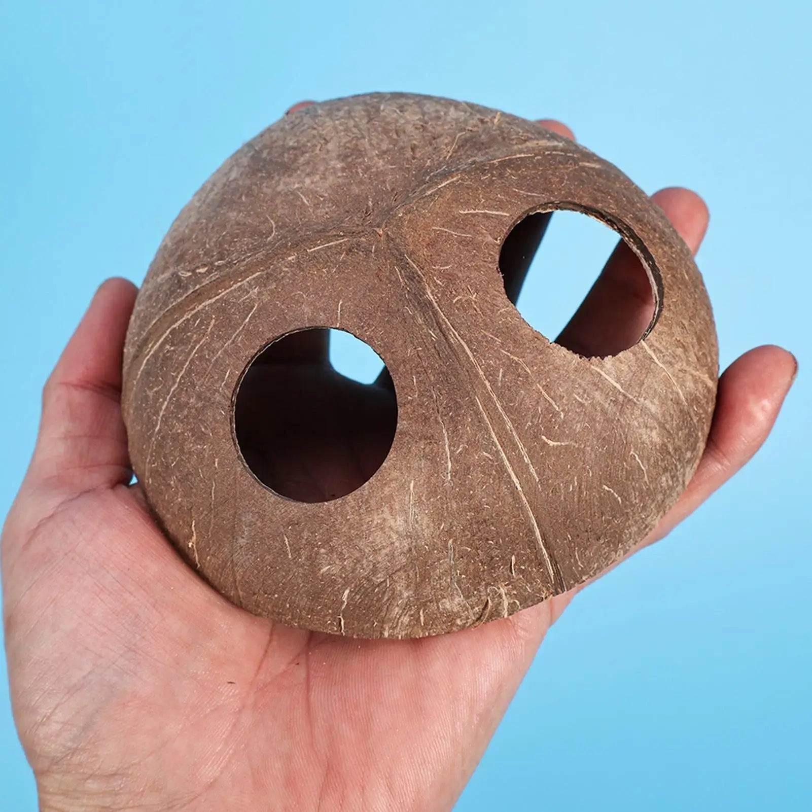 Reptile Shelter Coconut Cave Turtle Coconut Cave Reptile Hiding Cave Natural Coconut Shells Turtle Aquarium Hide House Decor Zpaxo
